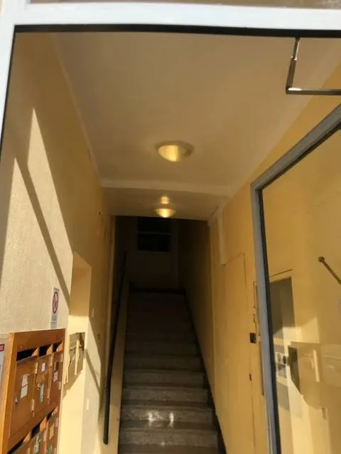 Réfection du plafond d'un hall d'entrée d'immeuble à Lyon